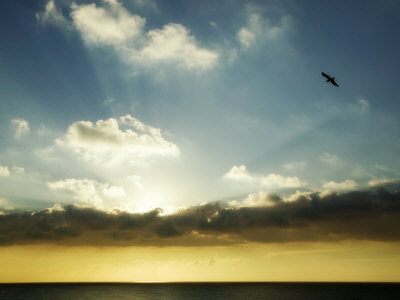 Outdoors, Birds - Seagulls On Beach At Sunset by Scott Stulberg Pricing Limited Edition Print image