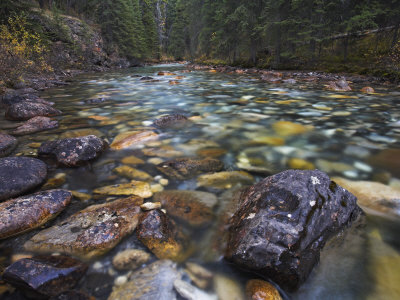 Shallow Rocky River At The Beginning Of Johnston Canyon, Banff National Park, Alberta, Canada by Adam Burton Pricing Limited Edition Print image