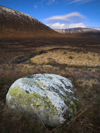 Boulder On The Heathland At Rannoch Moor, Highlands, Scotland, United Kingdom, Europe by Adam Burton Pricing Limited Edition Print image