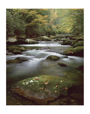 Jakes Creek by Danny Burk Pricing Limited Edition Print image