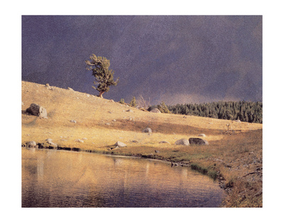 Lone Pine by Scott Peck Pricing Limited Edition Print image