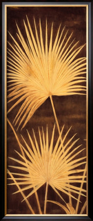 Fan Palm Triptych Ii by David Parks Pricing Limited Edition Print image