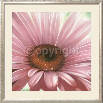 Rays Of Rose by Arkadiusz Warminski Pricing Limited Edition Print image