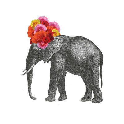 Elephant by John Murphy Pricing Limited Edition Print image
