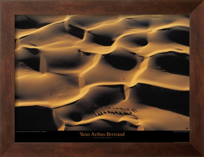 Dromadaires I by Yann Arthus-Bertrand Pricing Limited Edition Print image
