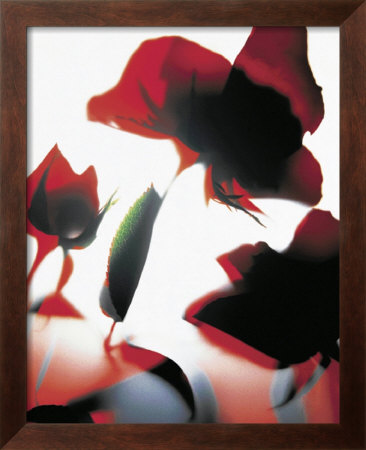 Transparente Blüten Ii by Joern Zolondek Pricing Limited Edition Print image
