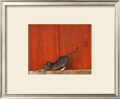 Chat by Hans Silvester Pricing Limited Edition Print image