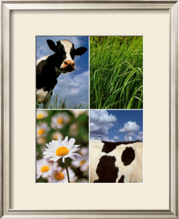 Pastoral Cow by Panais & Morcime Dumoulin Pricing Limited Edition Print image