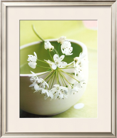 Little Flowers by Amelie Vuillon Pricing Limited Edition Print image