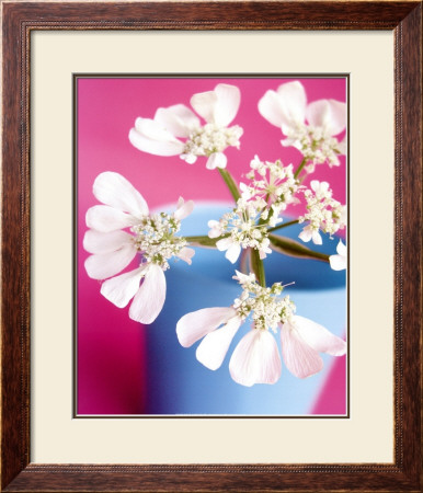Flower by Amelie Vuillon Pricing Limited Edition Print image