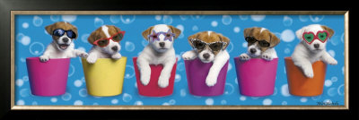 Shady Pups by Keith Kimberlin Pricing Limited Edition Print image