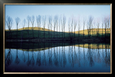 Lago Di San Valentino, Emilia, C.1979 by Franco Fontana Pricing Limited Edition Print image