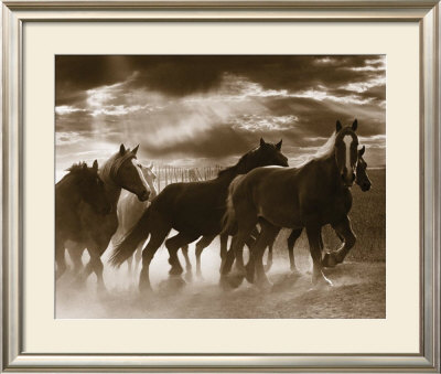 Running Horses And Sunbeams by Monte Nagler Pricing Limited Edition Print image