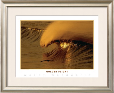 Golden Flight by Woody Woodworth Pricing Limited Edition Print image