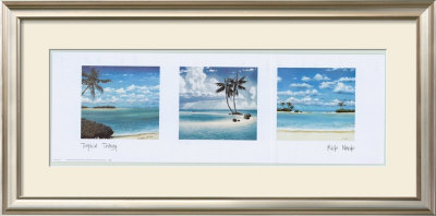 Tropical Trilogy by Rick Novak Pricing Limited Edition Print image