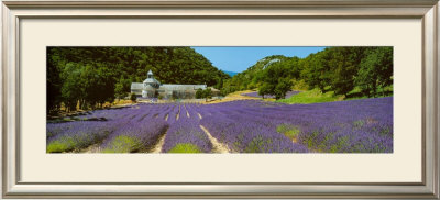 Sault - Provence by Paul Franklin Pricing Limited Edition Print image