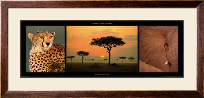African Savannah by Michel & Christine Denis-Huot Pricing Limited Edition Print image