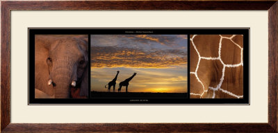 Giraffes At Dusk by Michel & Christine Denis-Huot Pricing Limited Edition Print image