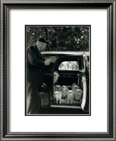 Les Chien Du Marquis De Cuevas, Bois De Boulogne by Robert Doisneau Pricing Limited Edition Print image