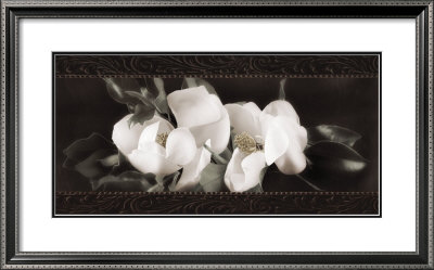 Soft Magnolias Ii by Christine Elizabeth Pricing Limited Edition Print image
