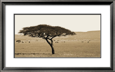 Serengeti Horizons I by Boyce Watt Pricing Limited Edition Print image