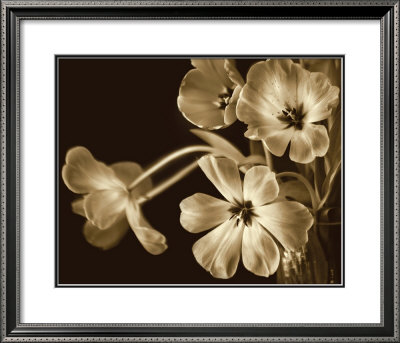 Elegante by Adrian Jendrasik Pricing Limited Edition Print image