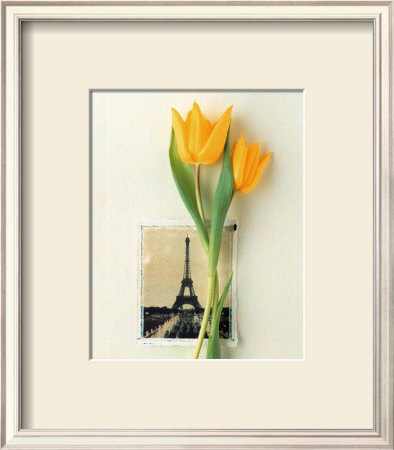 Tulip, Euro-Floral by Dorothy Gaubert Pyle Pricing Limited Edition Print image