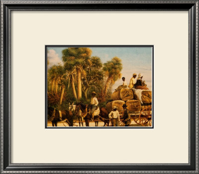 Bringing In The Cotton by William Aiken Walker Pricing Limited Edition Print image