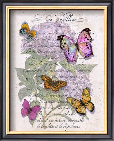 Hydrangea Butterflies Ii by Ginny Joyner Pricing Limited Edition Print image