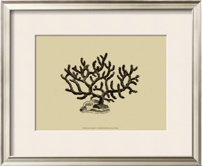 Coral On Khaki Iii by J. Wilkes Pricing Limited Edition Print image