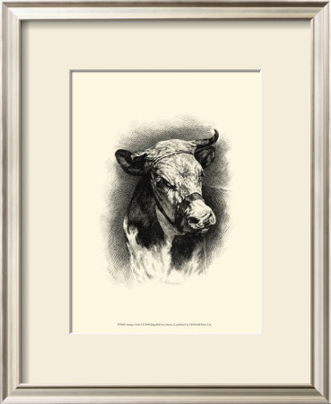 Antique Cattle I by F. Lehnert Pricing Limited Edition Print image