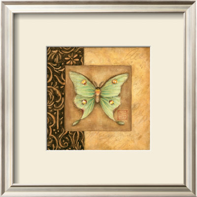 Luna Moth Square by Susan Winget Pricing Limited Edition Print image