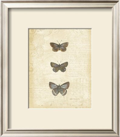 Botanical Butterflies Ii by Katie Pertiet Pricing Limited Edition Print image