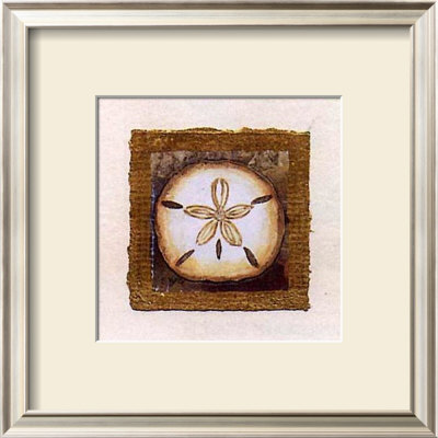 Sand Dollar by Charlene Winter Olson Pricing Limited Edition Print image