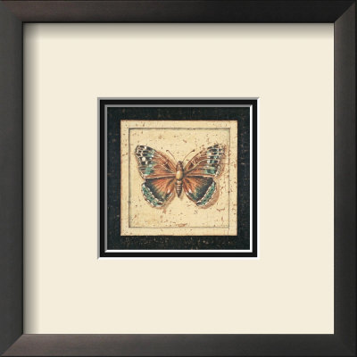 Ancient Butterfly Iv by Marty Joseph Pricing Limited Edition Print image