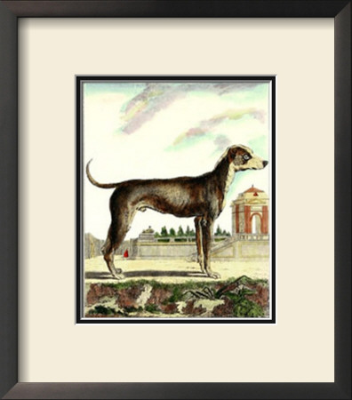 Great Dane by Georges-Louis Buffon Pricing Limited Edition Print image