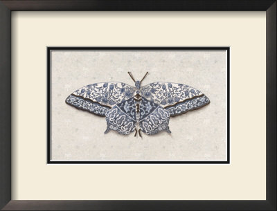 All A Flutter by Jennifer Brice Pricing Limited Edition Print image