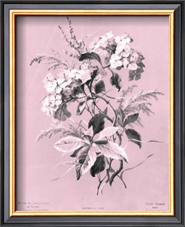 Dussurgey Hydrangea On Pink by Dussurgey Pricing Limited Edition Print image