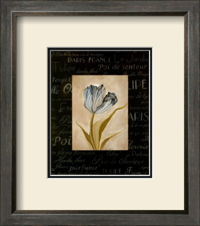 Tulipe Bleue I by Carol Robinson Pricing Limited Edition Print image