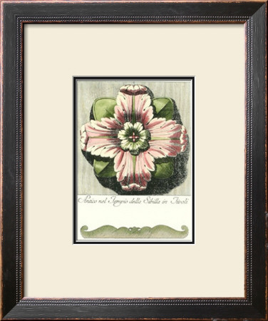 Pastel Rosettes Iii by Carlo Antonini Pricing Limited Edition Print image