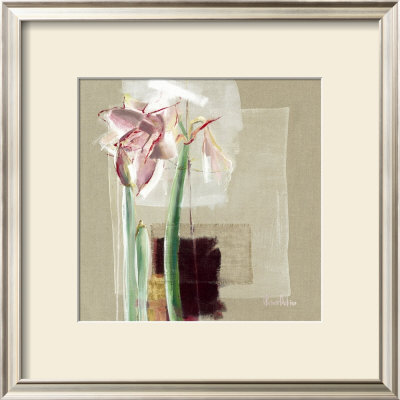 Amaryllis Japonisant by C. Bernarduchene Pricing Limited Edition Print image