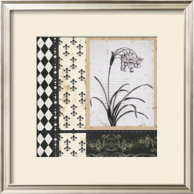 Argyle Et Fleurs I by Carol Robinson Pricing Limited Edition Print image