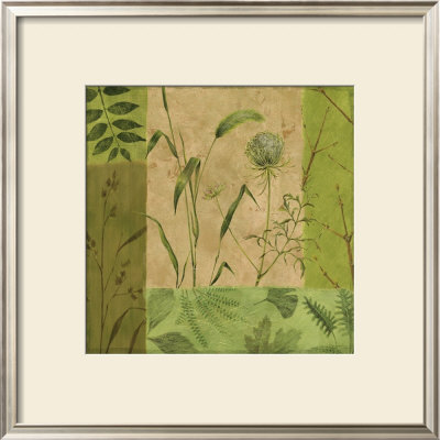 Foliage Ii by Peggy Harris Pricing Limited Edition Print image