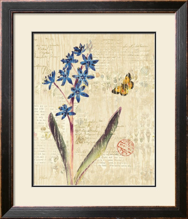 Botanical On Wood I by Katie Pertiet Pricing Limited Edition Print image