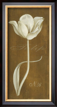 White Tulip No. 36 by Stela Klein Pricing Limited Edition Print image
