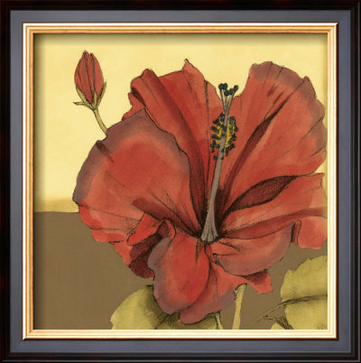 Cropped Sophisticated Hibiscus Iv by Jennifer Goldberger Pricing Limited Edition Print image