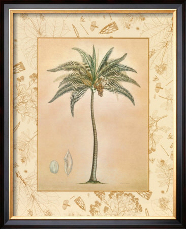 Coconut Palm by Richard Henson Pricing Limited Edition Print image