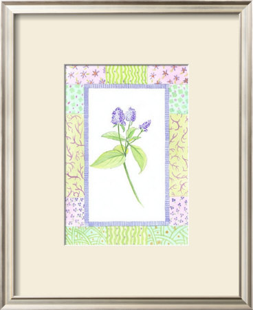 Patchwork Botanical Ii by Aldana Pricing Limited Edition Print image