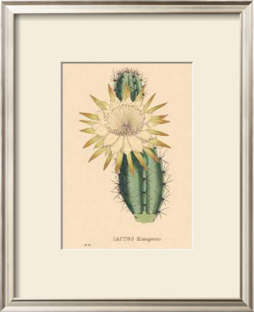 Hexagonus by C. Van Geel Pricing Limited Edition Print image