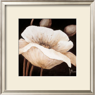Amazing Poppies Ii by Jettie Roseboom Pricing Limited Edition Print image